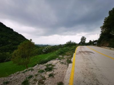 Arsa-Tarla