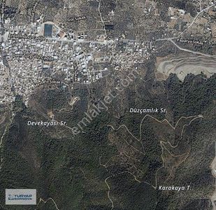 Arsa-Zeytinlik