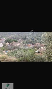 Arsa-Konut İmarlı