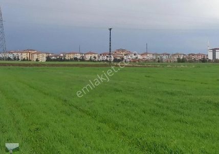 Arsa-Tarla