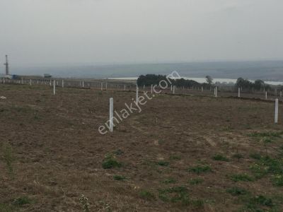 Arsa-Konut İmarlı