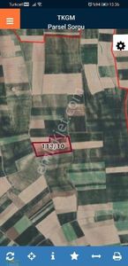 Arsa-Tarla