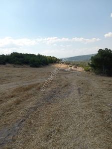 Arsa-Tarla