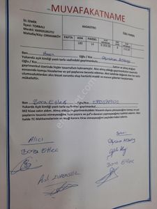 Arsa-Zeytinlik