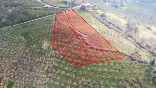 Arsa-Konut İmarlı