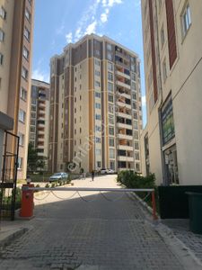 İşyeri-Dükkan & Mağaza
