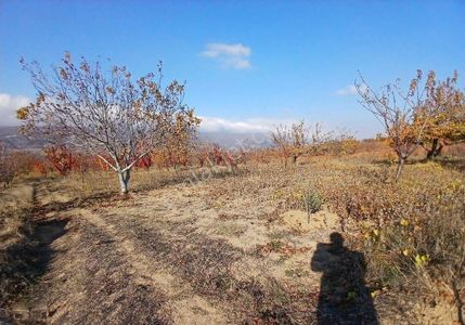 Arsa-Konut İmarlı