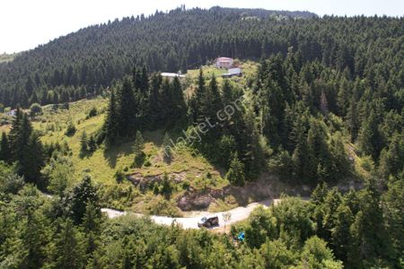 Arsa-Tarla