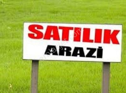Arsa-Bağ & Bahçe