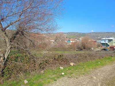 Arsa-Konut İmarlı