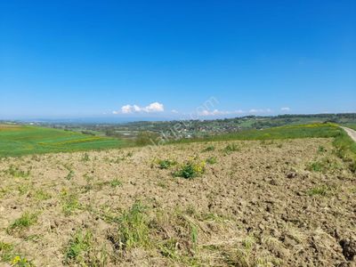 Arsa-Tarla