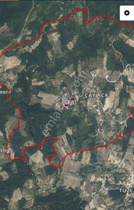 Arsa-Tarla