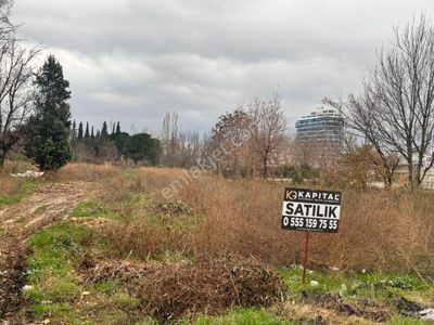 Arsa-Depo, Antrepo İzinli