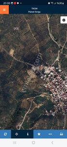 Arsa-Zeytinlik
