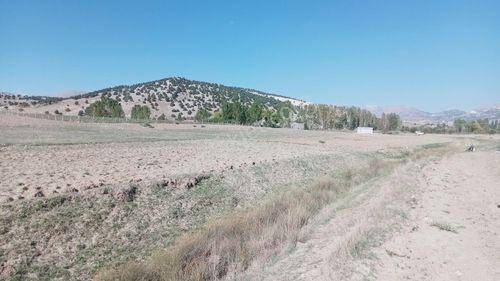 Arsa-Tarla