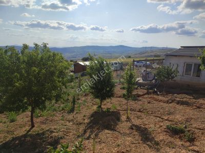 Arsa-Konut İmarlı