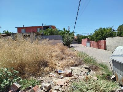 Arsa-Konut İmarlı