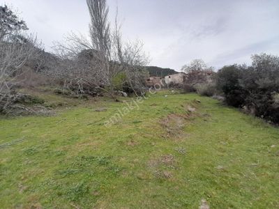 Arsa-Bağ & Bahçe