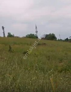 Arsa-Tarla