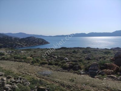 Arsa-Tarla