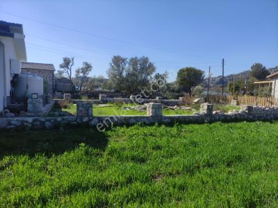 Arsa-Bağ & Bahçe