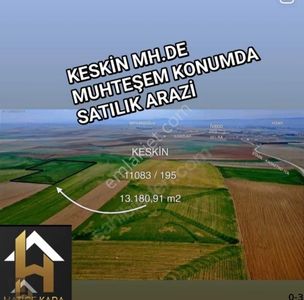 Arsa-Tarla