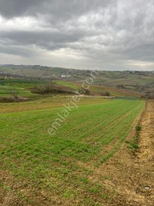 Arsa-Tarla