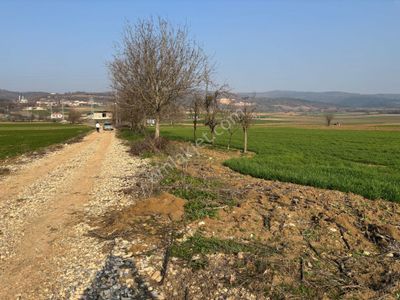 Arsa-Tarla