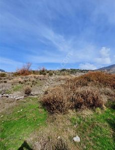 Arsa-Tarla