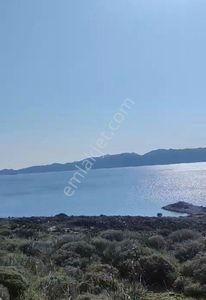 Arsa-Tarla