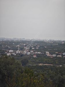 Arsa-Tarla