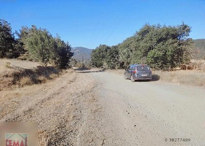 Arsa-Bağ & Bahçe