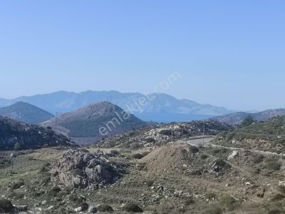 Arsa-Tarla