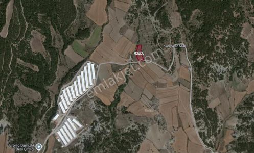 Arsa-Tarla