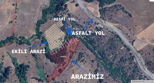 Arsa-Tarla