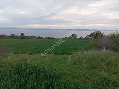 Arsa-Tarla