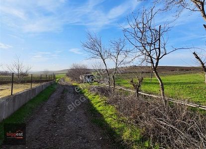 Arsa-Tarla