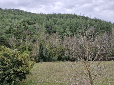 Arsa-Tarla