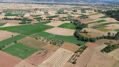 Arsa-Tarla