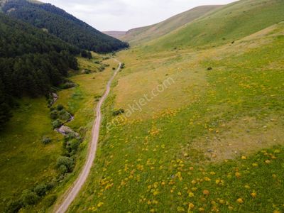 Arsa-Tarla