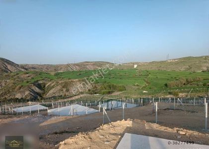 Arsa-Bağ & Bahçe