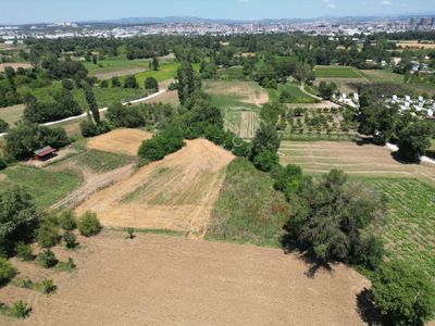 Arsa-Tarla