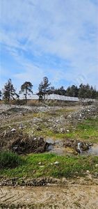 Arsa-Tarla