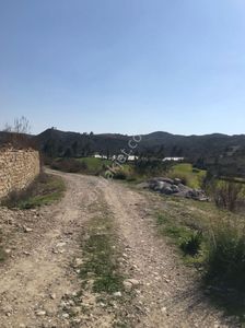 Arsa-Tarla