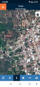 Arsa-Zeytinlik