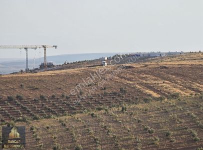 Arsa-Bağ & Bahçe