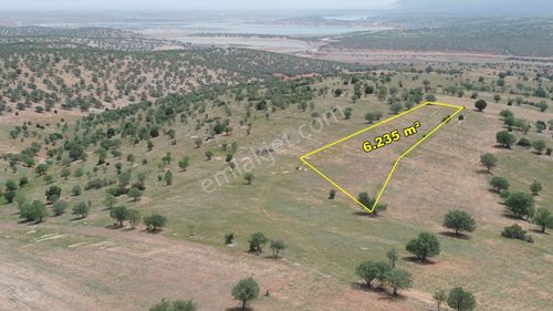 Arsa-Tarla