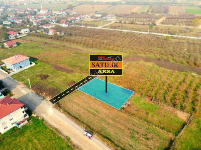 Arsa-Konut İmarlı
