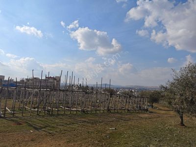 Arsa-Villa İmarlı