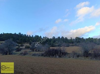 Arsa-Tarla